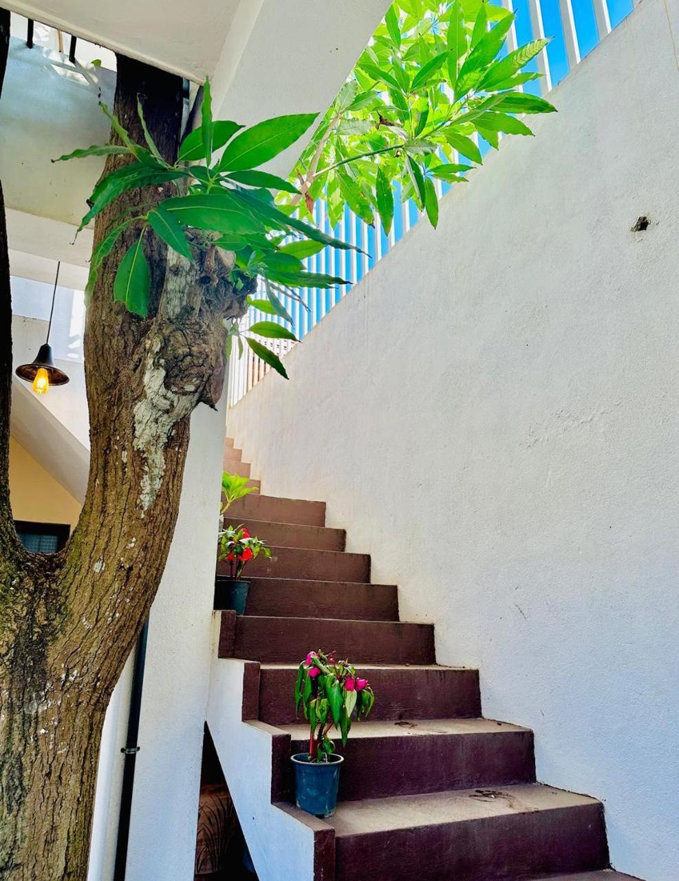 Sea Breeze Guest House Negombo Exteriér fotografie